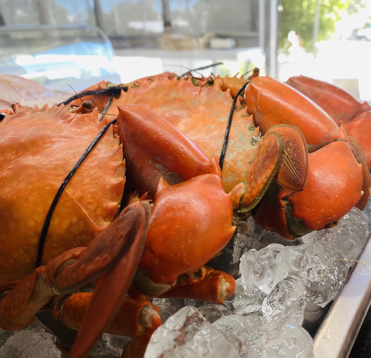 Tannum Beach Fish & Chips Photos 2